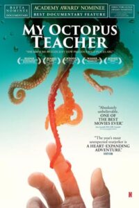 My Octopus Teacher (2020) บทเรียนจากปลาหมึก